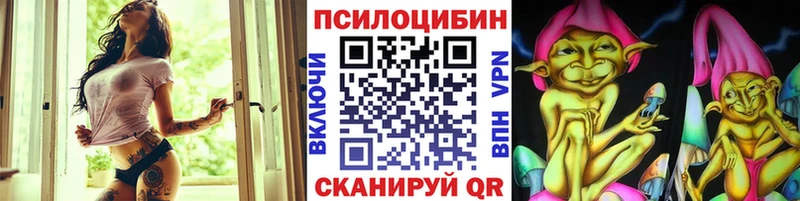 Галлюциногенные грибы Cubensis закладка Порхов